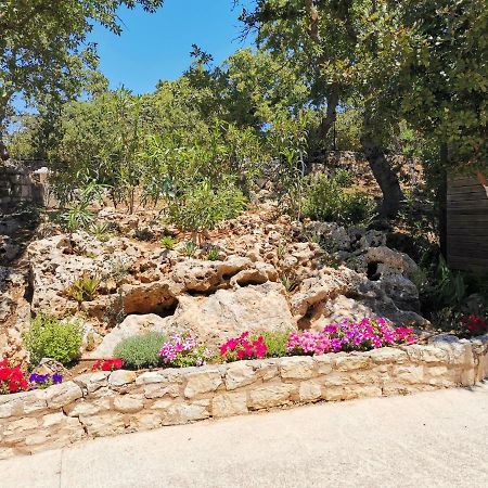 Villa Ermis - The Cretan Castello Kastellos Екстер'єр фото