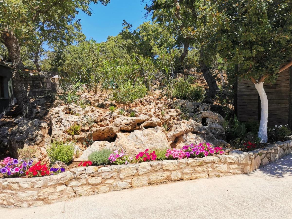 Villa Ermis - The Cretan Castello Kastellos Екстер'єр фото