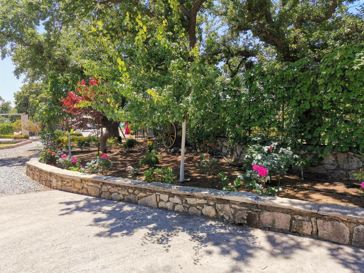 Villa Ermis - The Cretan Castello Kastellos Екстер'єр фото