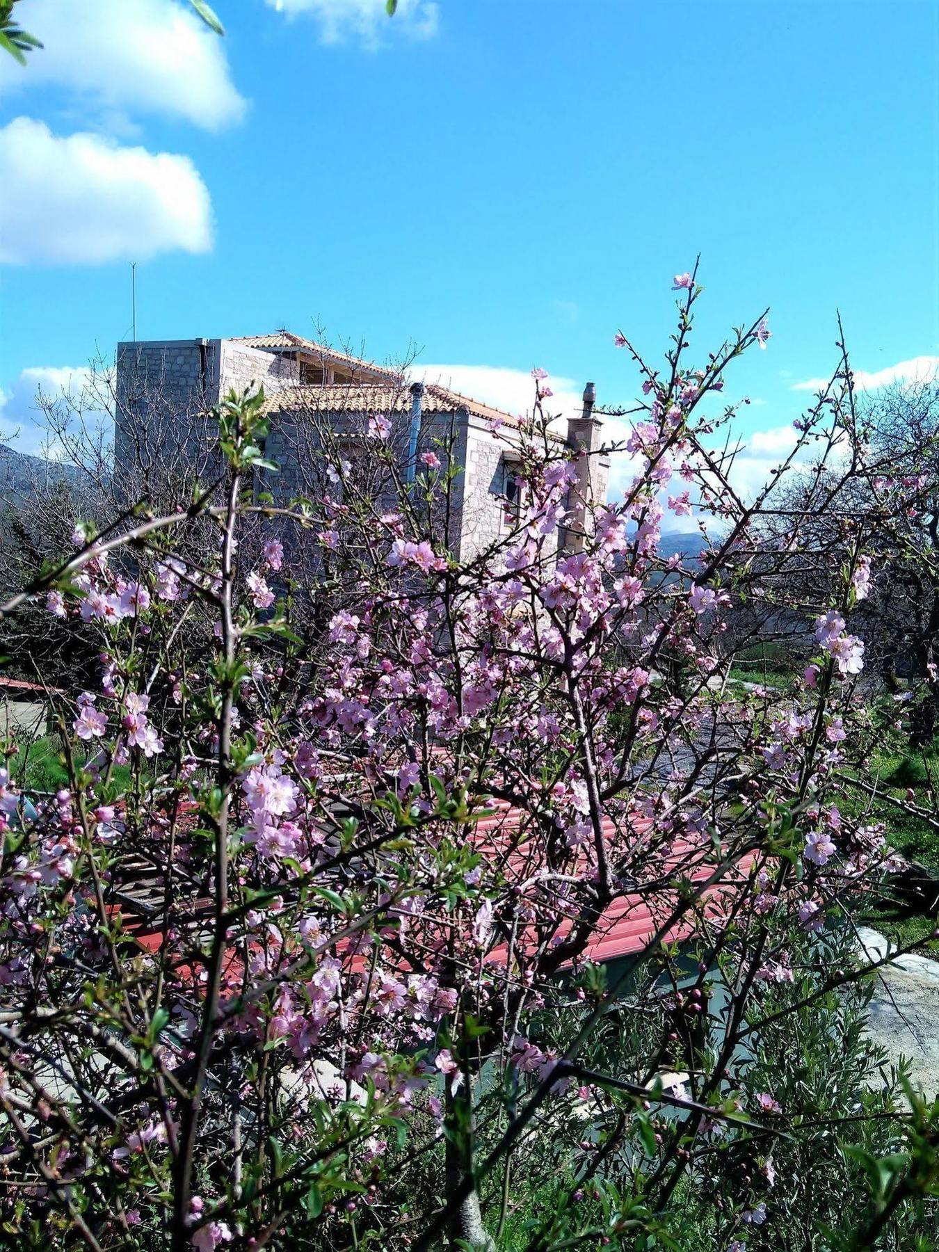 Villa Ermis - The Cretan Castello Kastellos Екстер'єр фото